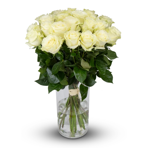 Kytice ekvádorských růží 80 cm